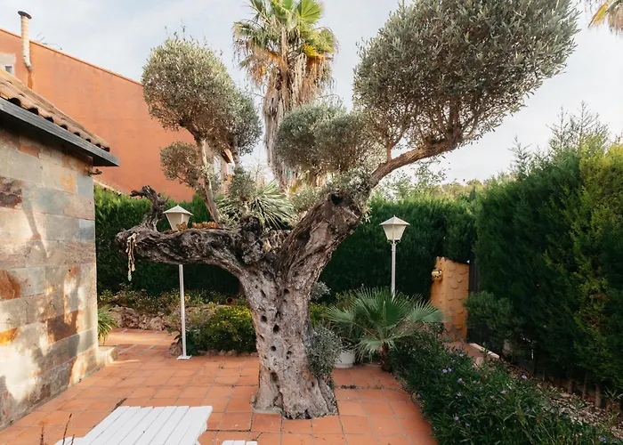 Chalet, Rodeada De Naturaleza Piscina A Doce Klm De Y 7 Del Aeropuerto